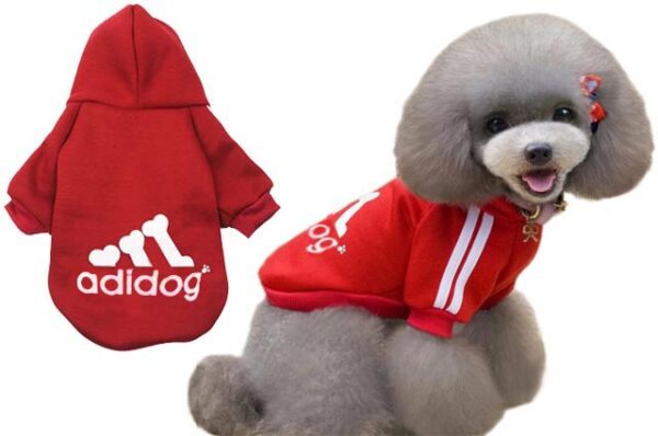 adidog dog sweatshirt