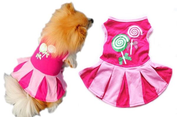 Lollipop dog dress