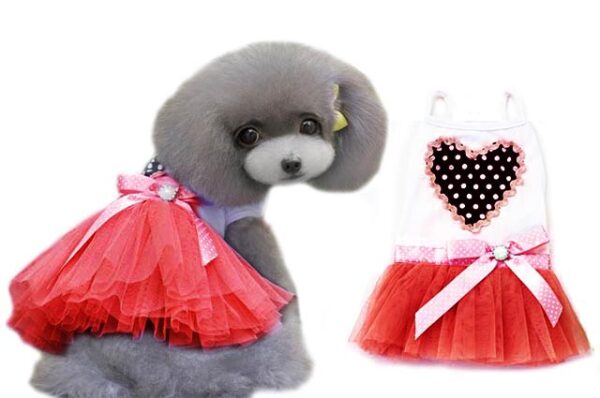 Heart dog dress