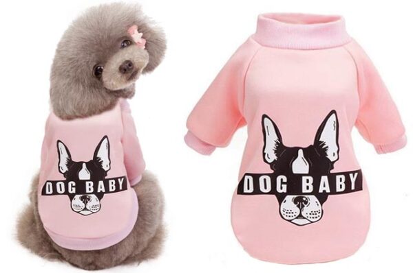 Dog sweatshirt Dog