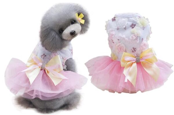 Flowers Queen dog dress