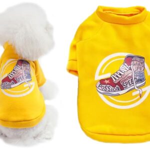 Speed ​​dog sweatshirt