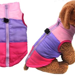 Tricolor dog jacket