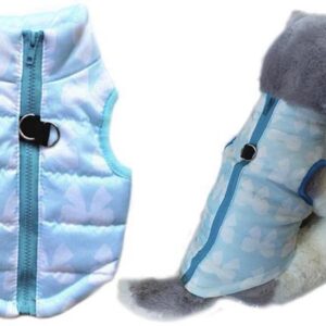 Blue ribbon dog jacket