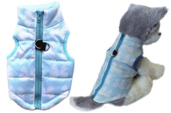 Blue ribbon dog jacket