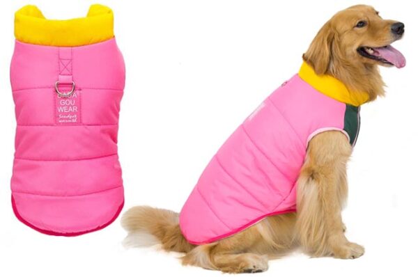 Mountain dog jacket