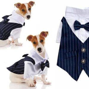 Groom suit for dogs