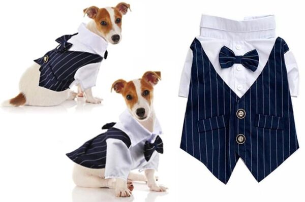 Groom suit for dogs