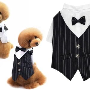 Groom suit for dogs
