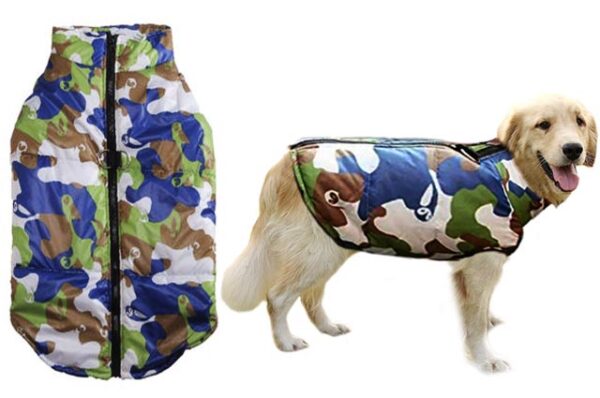 Camouflage
