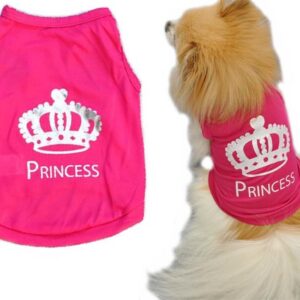 Princess dog outfit