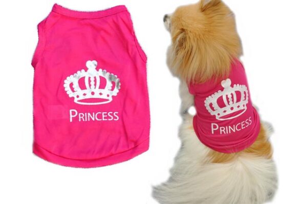 Princess dog outfit