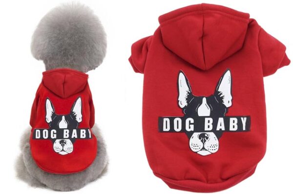 Dog sweatshirt Dog