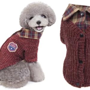 College dog jacket 20cm
