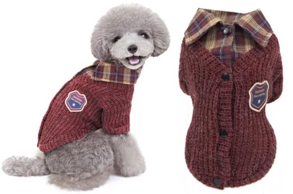 College dog jacket 20cm