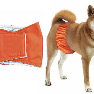 Diaper belt for male dogs