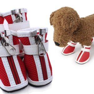 Style dog shoes