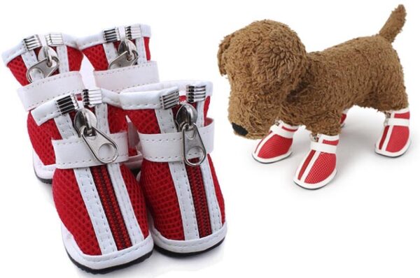 Style dog shoes