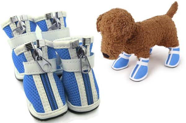 Style dog shoes