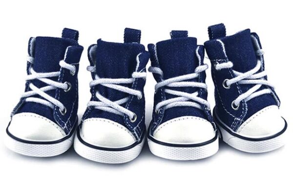 allstar dog shoes 4.3cm, 4.5cm, 5.4cm , 5.9cm, 6.2cm