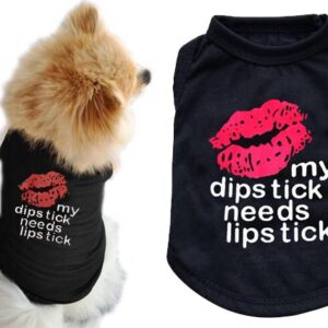 Lipstick Kisses dog outfit