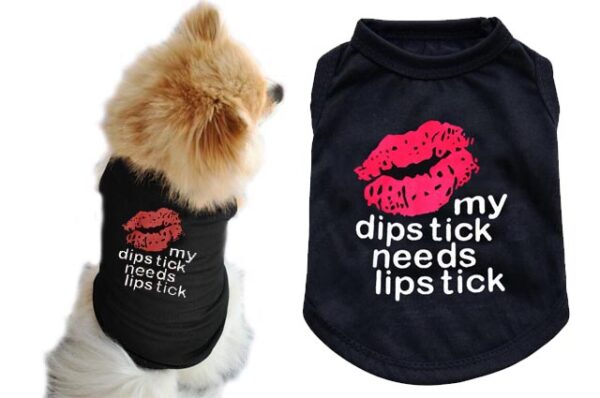 Lipstick Kisses dog outfit