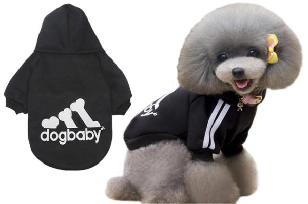 dogbaby dog ​​sweatshirt