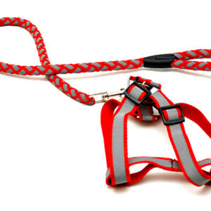 Durable reflector dog leash 123 cm with 40-60 cm leash