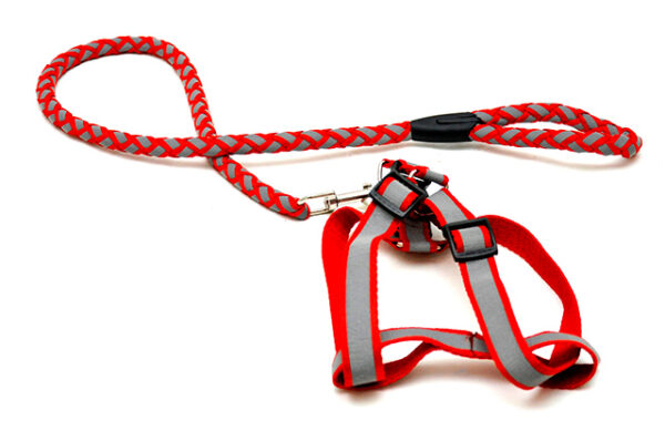 Durable reflector dog leash 123 cm with 40-60 cm leash