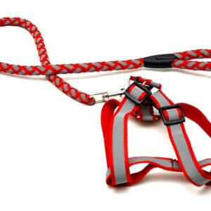 Durable reflector dog leash 123 cm with 30-50 cm leash