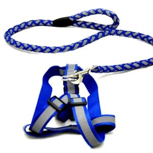 Durable reflector dog leash 123 cm with 40-60 cm leash