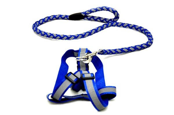 Durable reflector dog leash 123 cm with 30-50 cm leash