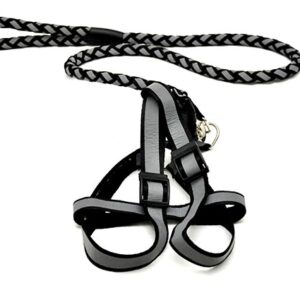Durable reflector dog leash 123 cm with 30-50 cm leash