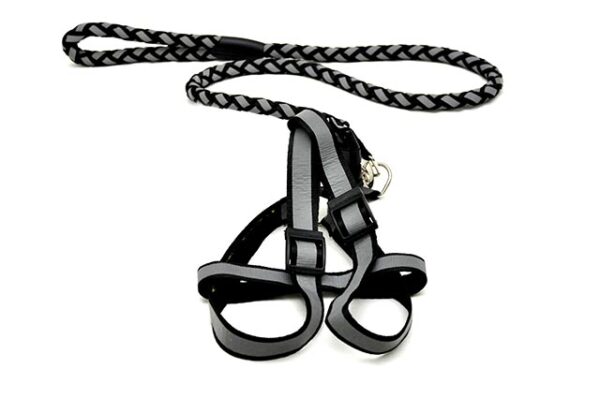 Durable reflector dog leash 123 cm with 30-50 cm leash