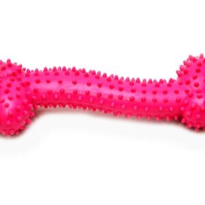 Dental Quality bone dog toy 11cm