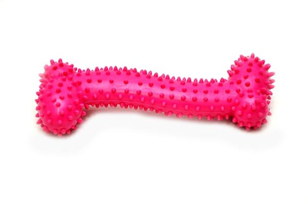 Dental Quality bone dog toy 11cm