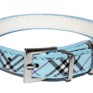 Scotch dog collar 35 cm long and 1.5 cm wide