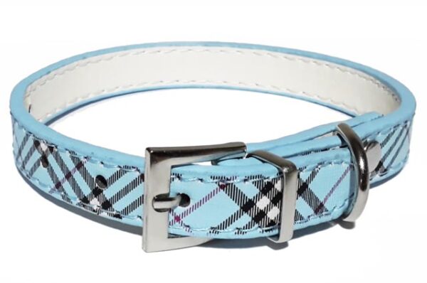 Scotch dog collar 35 cm long and 1.5 cm wide