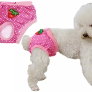 Dog sanitary breeches