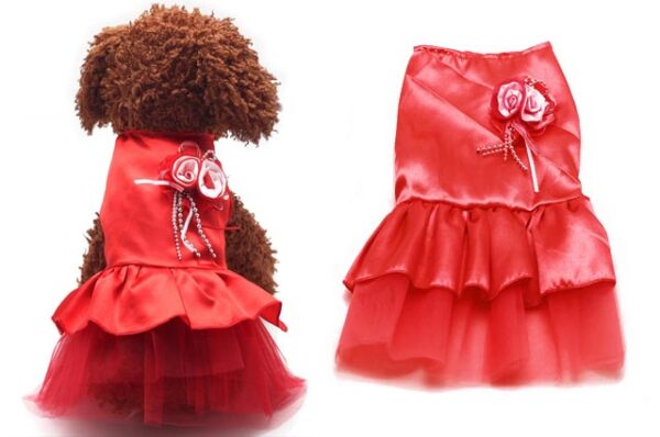 Velvet dog dress 45 cm