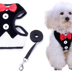 Groom's suit dog collar