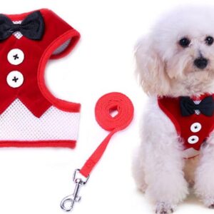Groom's suit dog collar