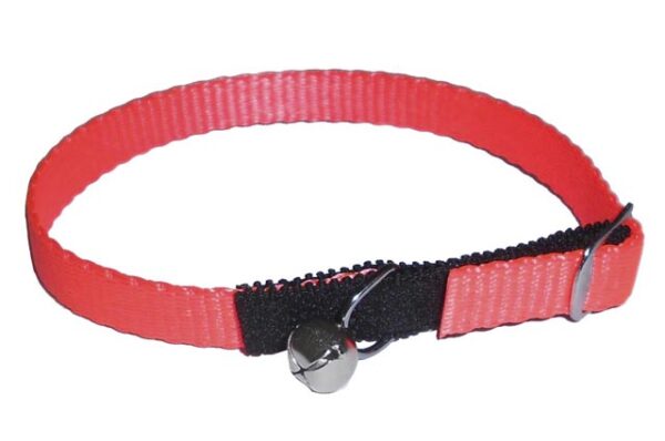 Cat safety collar 30cm from strap with Bell