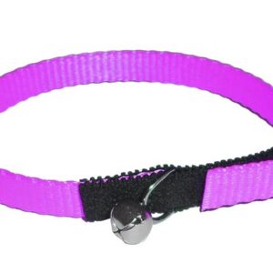 Cat safety collar 30cm from strap with Bell