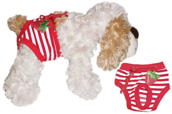 Dog sanitary breeches