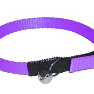 Cat safety collar 30cm from strap with Bell