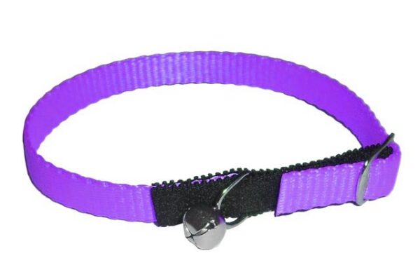 Cat safety collar 30cm from strap with Bell