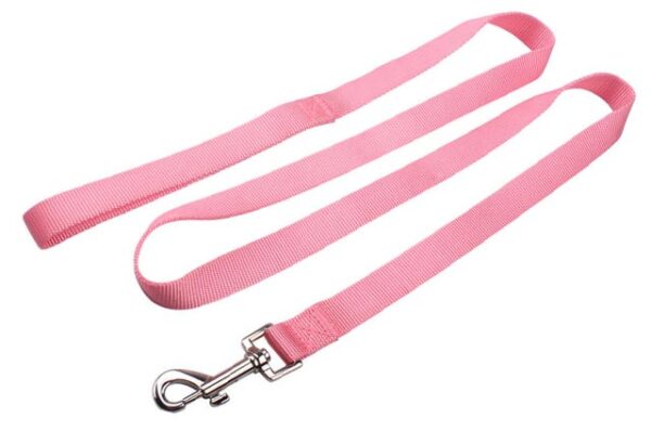 Dog leash guide belt
