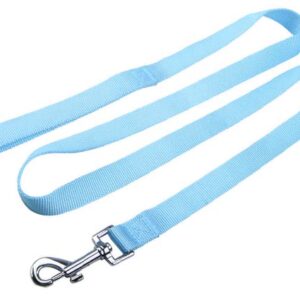 Dog leash guide belt