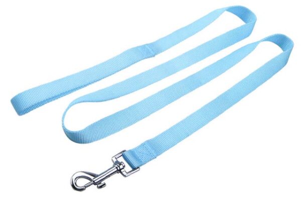 Dog leash guide belt